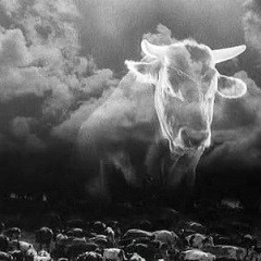 GENERALNA LINIJA (Staro i novo)