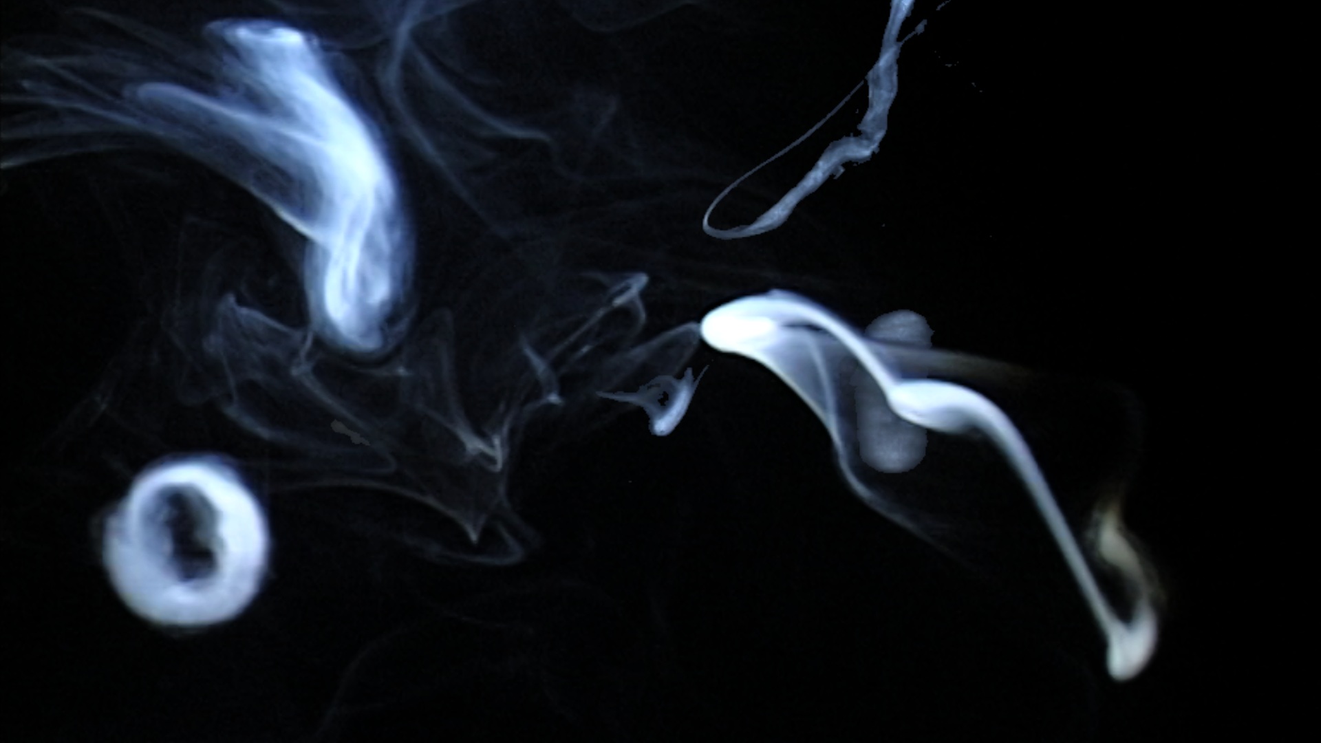 ANDRIJA DIMITRIJEVIĆ-POSVETA PROFESORU